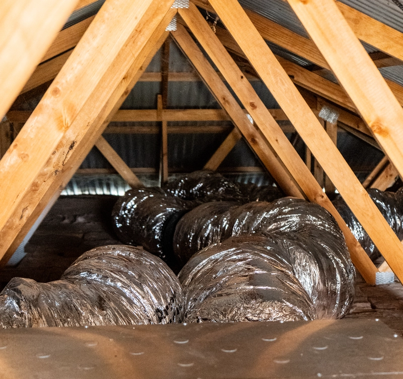 Mold Prevention Cleaning